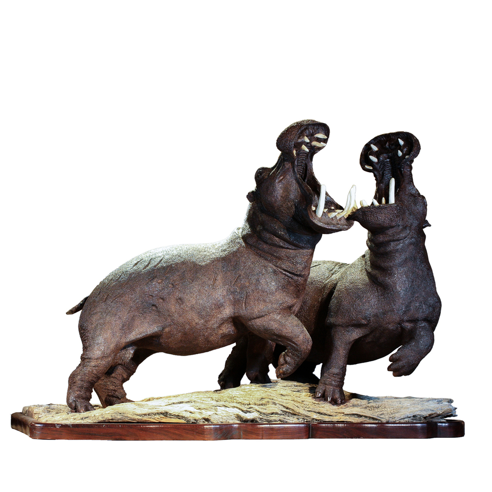 Mopho Gonde - TERRITORIAL FEUD - LEADWOOD - 32 X 40 X 23 - <h1>Hippos Fighting Wooden Sculpture, Large Wooden Twin Hippos Sculpture</h1>