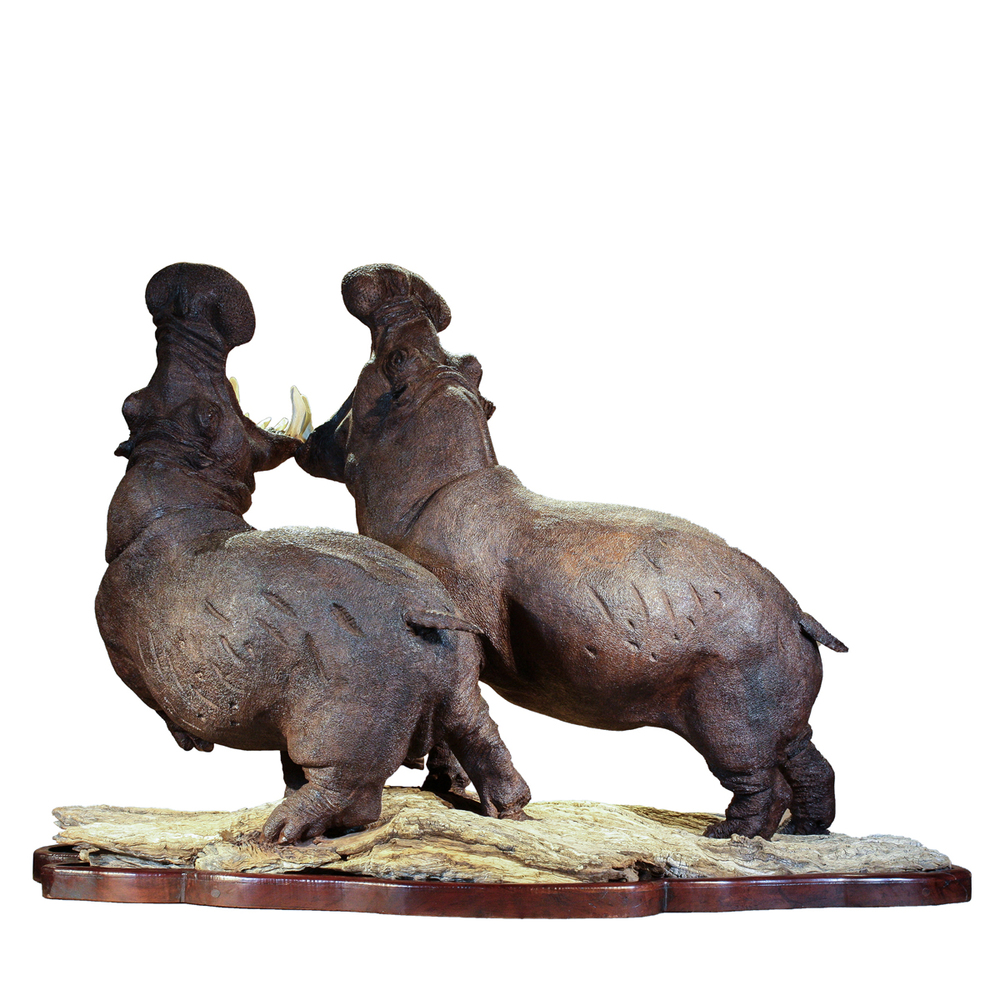Mopho Gonde - TERRITORIAL FEUD - LEADWOOD - 32 X 40 X 23 - <h1>Hippos Fighting Wooden Sculpture, Large Wooden Twin Hippos Sculpture</h1>