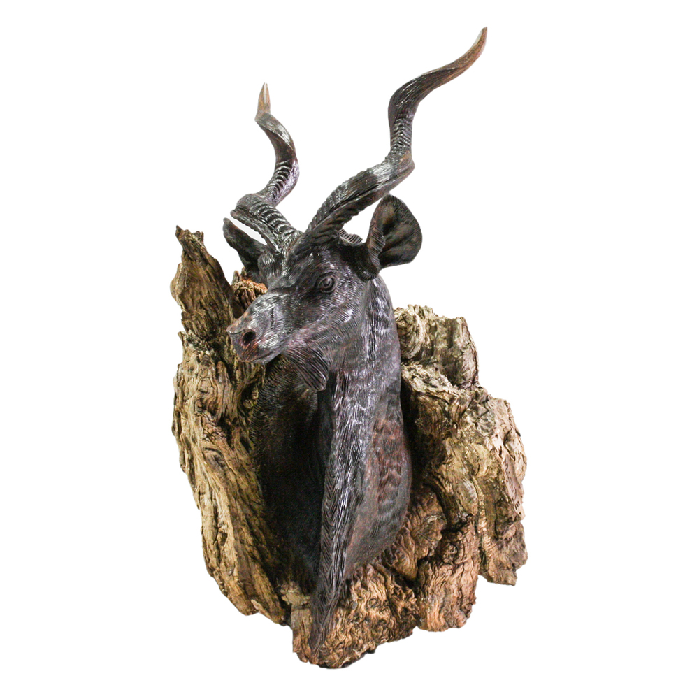 Mopho Gonde - THE TROPHY - WALL MOUNT - LEADWOOD - 16 X 9 X 10