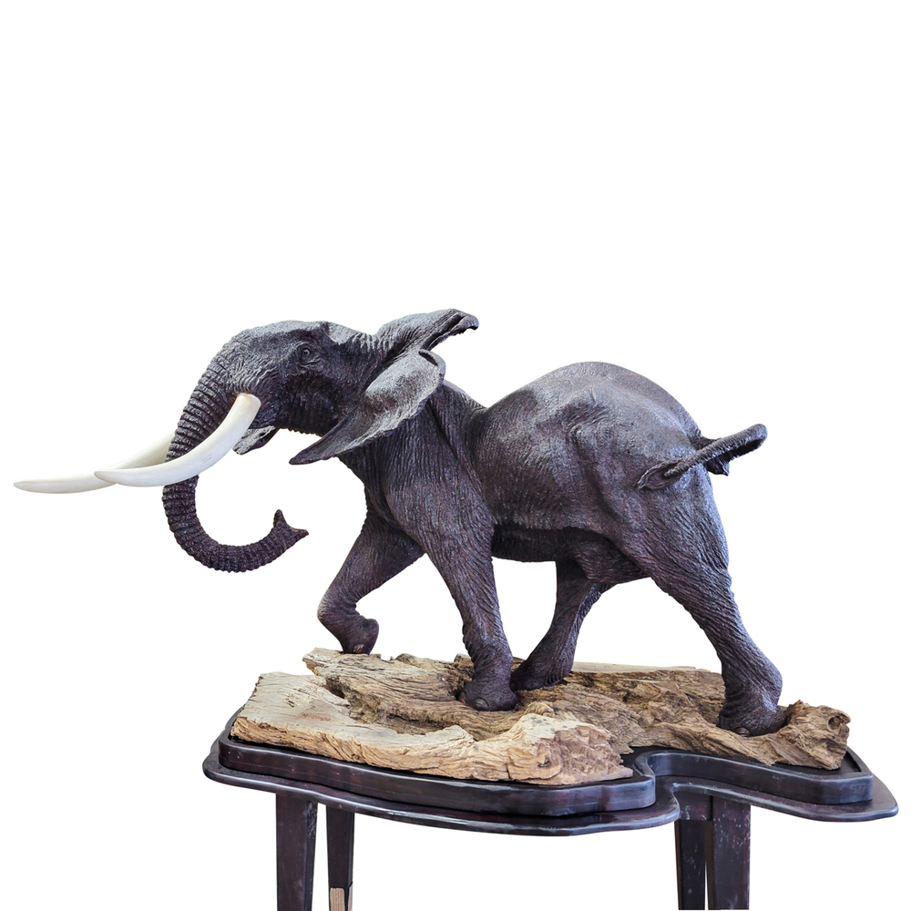 Mopho Gonde - MANDLEVE - LEADWOOD - 48 X 73 X 42 - Mandleve - South Africa's Greatest Tusker
<br>
<br>Mandleve died in 1992 and was truly a great tusker.  In fact his tusks were the greatest of them all.  His name means “ear” in Tsonga.  He spent his life roaming the thorny thickets of Southwestern Kruger National Park in South Africa.  His two tusks weighed 152lbs and 161lbs apiece taking the record for Kruger’s heaviest ivory.  In late 1993 Mandleve’s skeleton was found with tusks intact.  They were removed and are now on display at the Letaba Elephant Hall in South Africa.