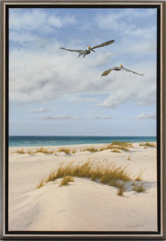 Rob MacIntosh - PELICANS HEADING HOME - OIL ON CANVAS - 36 X 24