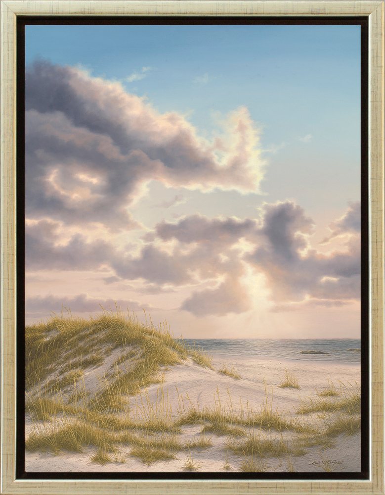 Rob MacIntosh - SUNLIT DUNES - OIL ON CANVAS - 40 X 30