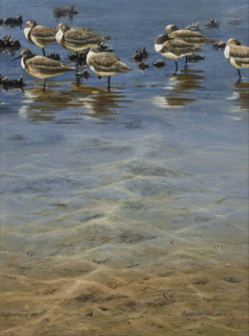 Suzie Seerey-Lester - LOW TIDE - ACRYLIC ON PANEL - 16 X 12