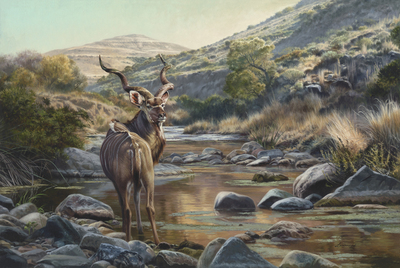 David Langmead - KUDU HAVEN - GICLEE - 24 X 35 3/4
