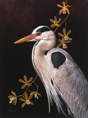 David Langmead - GREAT BLUE HERON WITH BUTTERFLY ORCHIDS - GICLEE - 24 X 18