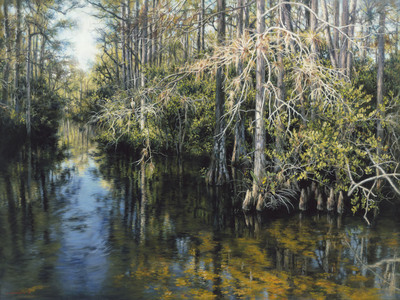 Jaco van Schalkwyk - BACK WATERS - GICLEE - 45 X 60