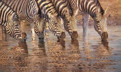 David Langmead - DRINKING BUDDIES III - GICLEE - 30 X 50