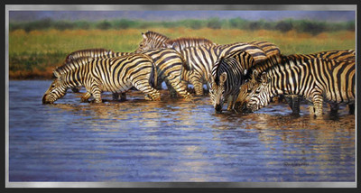 David Langmead - ZEBRA RIPPLES - GICLEE - 16 x 32