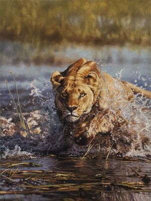 David Langmead - LION RUSH - GICLEE - 31 1/2 x 23 3/4