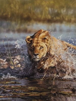 David Langmead - LION RUSH - GICLEE - 31 1/2 X 23 3/4