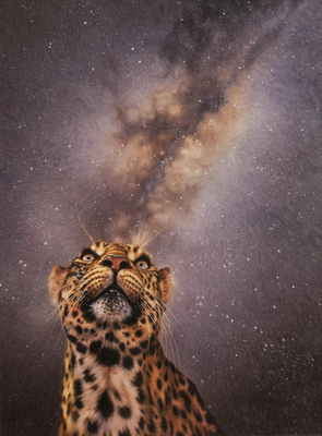 David Langmead - NIGHT SKY IN THE LEOPARD'S EYE - GICLEE - 24 x 18