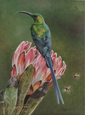 David Langmead - GREEN PIECE - GICLEE - 10 X 7