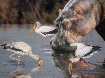 David Langmead - HOBNOBBING HIPPO - GICLEE - 17 X 25