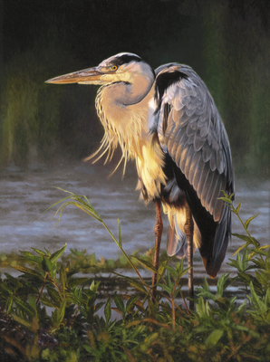 David Langmead - IN THE SPOTLIGHT - GICLEE - 22 X 16