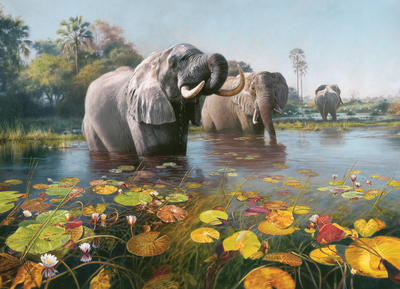 David Langmead - POOLS OF PARADISE - GICLEE - 44 X 62