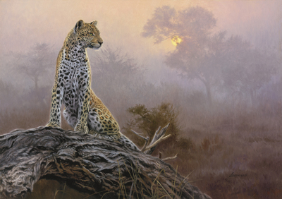 David Langmead - MORNING MOVES - GICLEE - 18 x 25 1/2