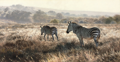 David Langmead - MOUNTAIN ZEBRA MOOD - GICLEE - 12 x 24