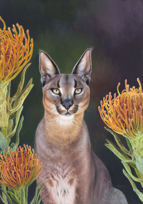 David Langmead - WILDCAT - GICLEE - 27 1/2 X 19 1/2