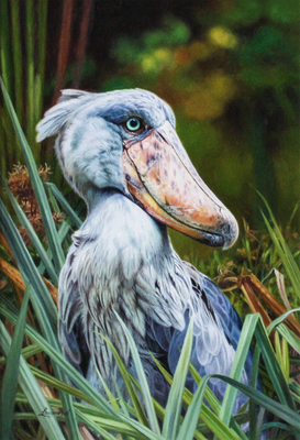 David Langmead - IF THE SHOE FITS - OIL ON PANEL - 17 3/4 X 12 1/8
