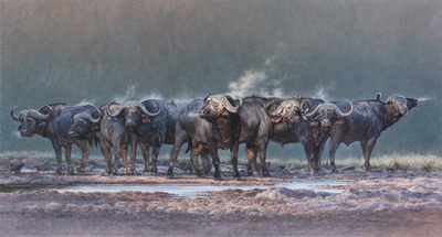 David Langmead - WINTER LIGHT - OIL ON CANVAS - 28 X 51