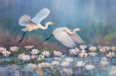 David Langmead - PINIONS AND PETALS - OIL ON CANVAS - 24 x 36