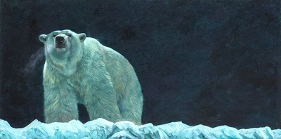 John Seerey-Lester - MIDNIGHT FROST - OIL ON CANVAS - 24 X 48