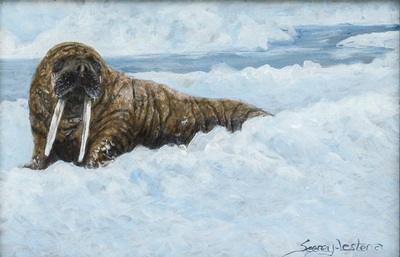 John Seerey-Lester - WALRUS STUDY - ACRYLIC ON PANEL - 6 X 9