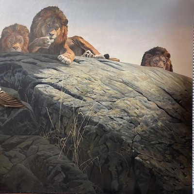 John Seerey-Lester - THE MEN'S CLUB - OIL ON CANVAS - 48 X 48 - "The Men's Club"
<br>By Sir John Seerey-Lester
<br>
<br>One of the most famous white hunters in East Africa, John Alexander Hunter (J.A.), had been urgently summoned by several Maasai chiefs to get rid of a group of young male lions. This was  nothing new to J.A.   He’d been hunting dangerous animals between safaris since1908, when he first arrived in British East Africa.
<br>
<br>Dusk turned to night. It was eerily dark as J.A. stared from beneath his bush hide into the featureless landscape. In the early hours of the morning, he caught sight of something moving in the distance. Although his eyes had become accustomed to the dark, it was hard to make out exactly what was coming his way. It seemed too big, he thought, though at night objects seem to appear larger.
<br>
<br>He watched the animals crouch into a menacing posture.  He aimed low and fired. He heard the cat grunt as one turned and darted sideways into the bush.
<br>
<br>Next morning, with one of the natives acting as a gun-bearer, J.A. began following the blood trail, through a gorge with rocks and heavy brush on both sides; an ideal place for an injured lion to hole up.  J.A. was fearful of an ambush and cautioned everyone to be watchful.