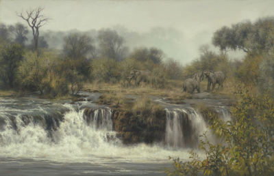 Jaco van Schalkwyk - ELEPHANTS: ZAMBEZI - GICLEE - 31 X 48