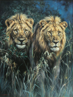 Jaco van Schalkwyk - FROM THE COVER OF DARKNESS - OIL ON BELGIAN LINEN - 48 X 36