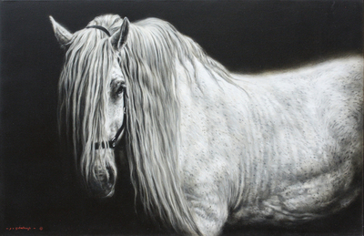 Jaco van Schalkwyk - SPIRIT (PERCHERON) - OIL ON CANVAS - 30 X 45 3/4