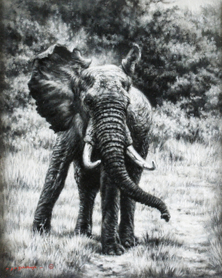 Jaco van Schalkwyk - ELEPHANT: THE INTIMIDATOR - OIL ON BELGIAN LINEN - 19 7/8 X 15 7/8