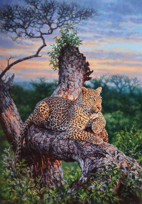 Jaco van Schalkwyk - MAKHOMSAVA - THE RADIANT ONE - OIL ON BELGIAN LINEN - 60 X 42 - Makhomsava: The Radiant One<br><br>Makhomsava’s name — meaning Mother Earth — suits her perfectly. Named after a road in Londolozi, she spent so much time on as she came into independence, her mother shifted and handed her the land<br>she grew up in. Soon, Makhomsava was seen in all the places once defined by her mother’s presence, carrying the lineage forward with grace.<br><br>We found her one evening on territorial patrol, scent-marking and sawing as she moved with purpose through her land. What made this sighting even more meaningful were the fresh suckle marks on her<br>belly — a silent reassurance that her cub, unseen for some time, was still alive.<br><br>We followed her until she settled on a dead tree stump, framed by the sky painted in hues of purple, pink, orange and blue. A perfect moment to capture in time of this beautiful creature. As the sun slipped away, she climbed down, gave one final territorial call claiming her ground, and disappeared into the night.<br><br>The next morning, her tracks led us into a dry riverbed. After sitting quietly for what felt like forever while she was calling and chuffing for her cub, she emerged — and for the first time I met her surviving<br>cub, now known as Loloyiso. Unlike her confident mother, the little one was skittish, darting for cover at the slightest sound. Makhomsava kept her hidden well, perhaps shaped by the heartbreak of losing her<br>littermate and so many cubs before this one.<br><br>Today, Makhomsava reigns over her piece of the Sands with quiet strength. She is a radiant leopardess, determined to protect her lineage and ensure that her bloodline continues into the future — a true<br>embodiment of Mother Earth, nurturing life in a landscape both harsh and beautiful.