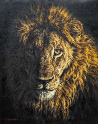 Jaco van Schalkwyk - THE LEGEND OF DARKMANE - OIL ON BELGIAN LINEN - 40 X 32 - The Legend of Dark Mane<br><br>Through the lens of Jackie Boshoff.<br><br>My very first safari on Djuma began quietly — almost too quietly. No elephants, hardly any plains game, just the stillness of the northern Sabi Sands settling into evening. We stopped for sundowners, accepting<br>that some drives are simply gentle.<br><br>And then, halfway through our drinks, a lion roared. In seconds, everything shifted. Drinks were finished in a rush, the cooler packed, and we were back on the vehicle, following the sound that rolled across the landscape. Not far from where we had been standing, he appeared: Dark Mane, the Northern Avoca male, one of three brothers in the Avoca coalition.<br><br>My first ever safari photograph was of him. We spent nearly 45 minutes with him that evening, watching him breathe, watching him own the land with the quiet authority of a king. Just before settling into sleep, he gifted us one final, earth-shaking roar. A moment neither of us will ever forget.<br><br>Dark Mane was a favourite for many. He sired numerous cubs and ruled the Talamati pride for years, even after recovering from a serious foot injury. His strength was undeniable, his legacy woven into the<br>fabric of the northern Sabi Sands. When he was injured during a buffalo hunt — footage that shocked everyone who saw it — he fought as long as he could. He passed away a few days later on Djuma soil,<br>the land he had ruled with such presence.<br><br>After his death, the Avoca coalition continued briefly. Blondie succumbed to TB, and Mohawk eventually dispersed under pressure from the S8 male. Yet Dark Mane remains the most enduring symbol of their reign — a lion remembered not only for his power, but for the unforgettable moments he gave us.