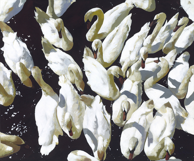 Kirsty May Hall - EAGER SWANS IN LATE SUMMER - GICLEE - 39 X 47