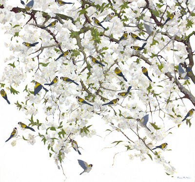 Kirsty May Hall - GOLDFINCHES - GICLEE - 55 X 59