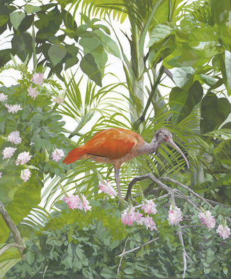 Kirsty May Hall - ONE SCARLET IBIS - GICLEE - 47 X 39