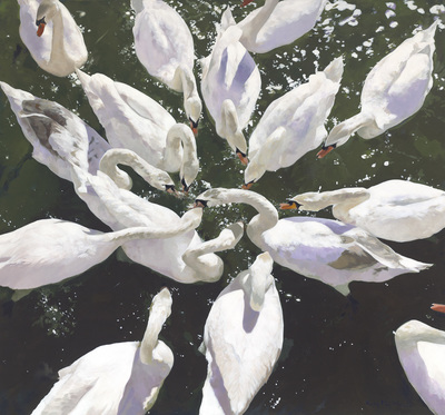 Kirsty May Hall - SWANS LUNCHEON - GICLEE - 55 X 59