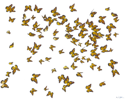 Kirsty May Hall - MONARCH BUTTERFLIES - GICLEE - 51 X 55