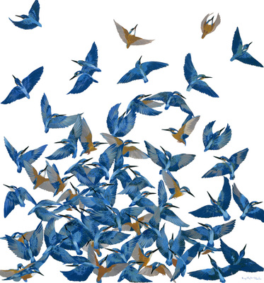 Kirsty May Hall - KINGFISHERS - GICLEE - 59 X 54