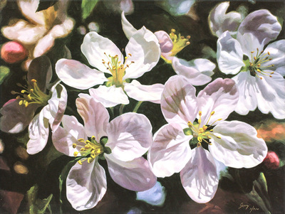 Promotional Items - MICHAEL GERRY - SPRING BLOSSOM - 30 X 40