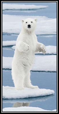 Paul Gruner - WHITE KNIGHT - PHOTOGRAPHIC ART - 30 X 15