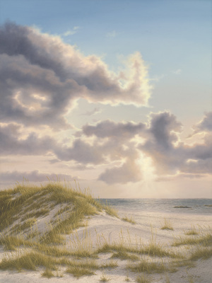 Rob MacIntosh - SUNLIT DUNES - OIL ON CANVAS - 40 X 30