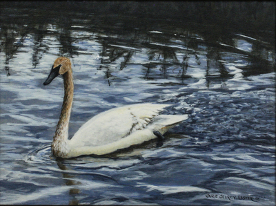 Suzie Seerey-Lester - TUNDRA SWAN - OIL - 9 X 12