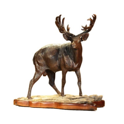 Mule Deer Buck Wooden Sculpture