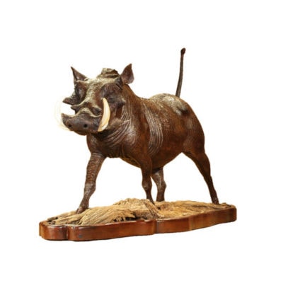Warthog Patrolling Wooden Sculpture Mopho Gonde