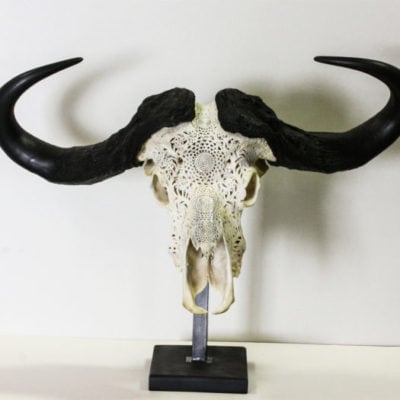Carved Buffalo Skull Product