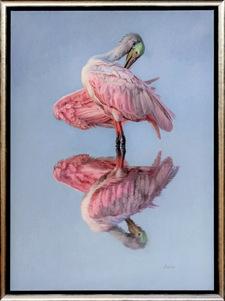 Large Oil on Canvas Roseate Spoonbill painting 'liquid undertones' Product Link