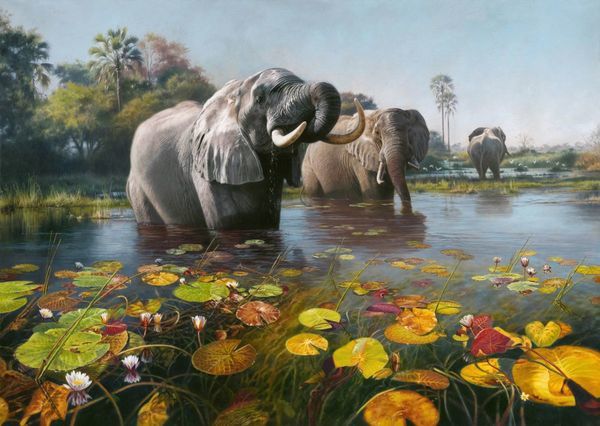 Large Wildlife Giclee pools of paradise By David Langmead Native Visions Galleries