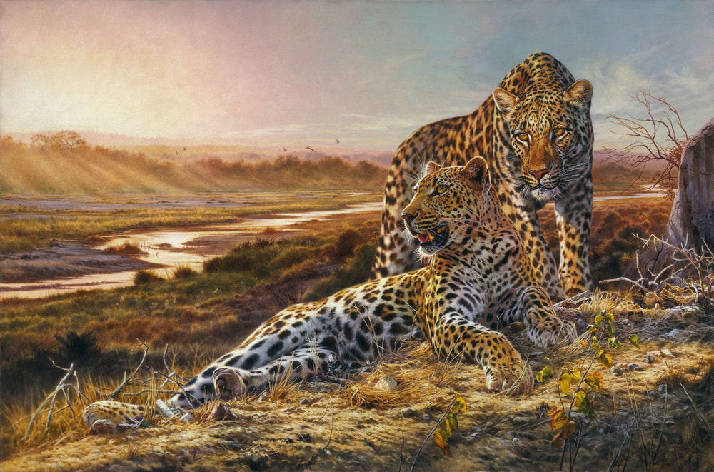 Leopard Giclee Painting Product Link